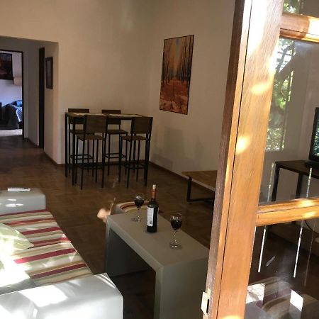 Mza Wine Apartment -Next To Aristides Street- First Class Mendoza Buitenkant foto