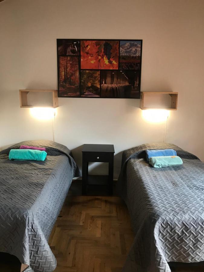 Mza Wine Apartment -Next To Aristides Street- First Class Mendoza Buitenkant foto